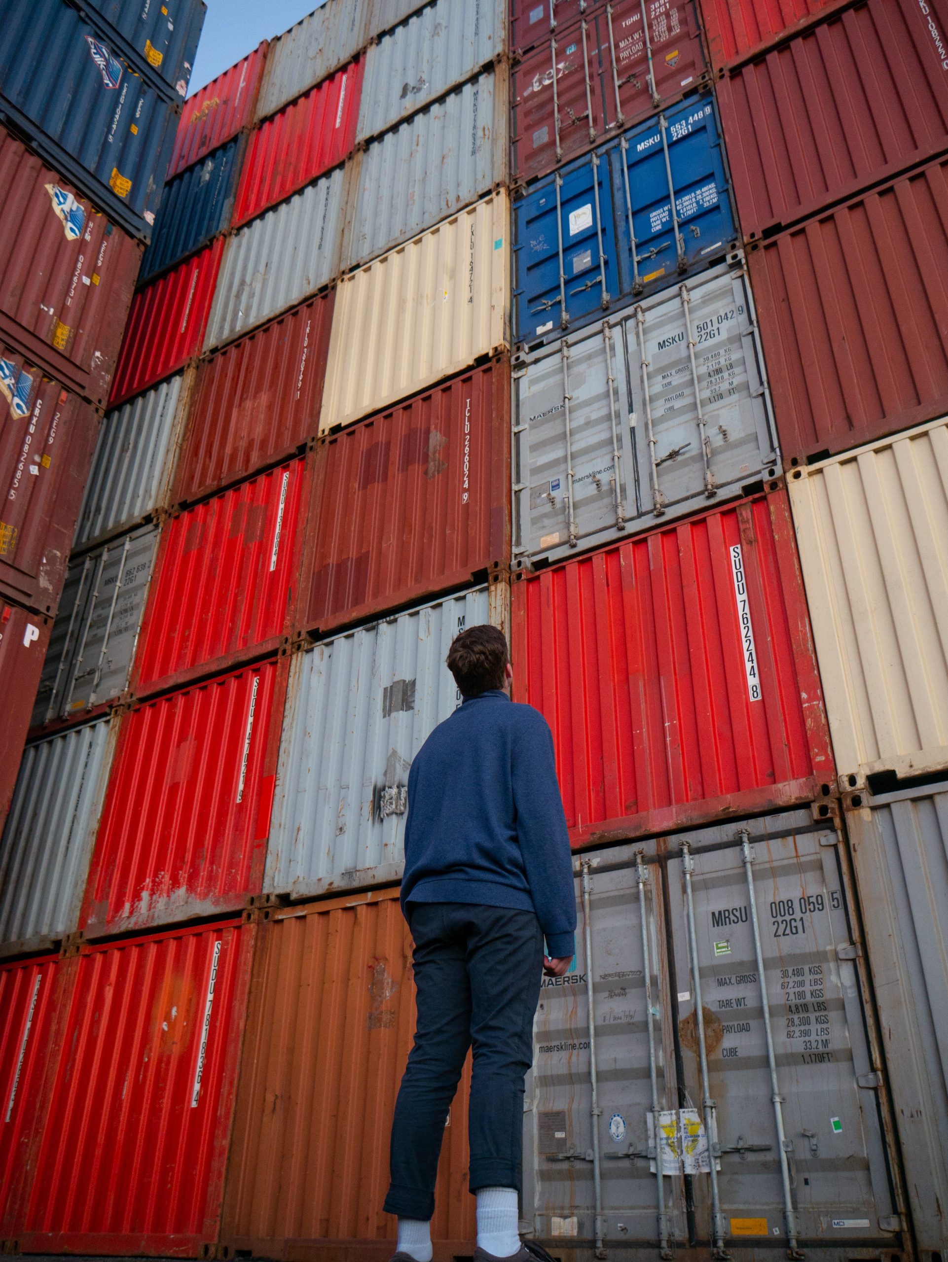 Logistics person looking at shipping containers