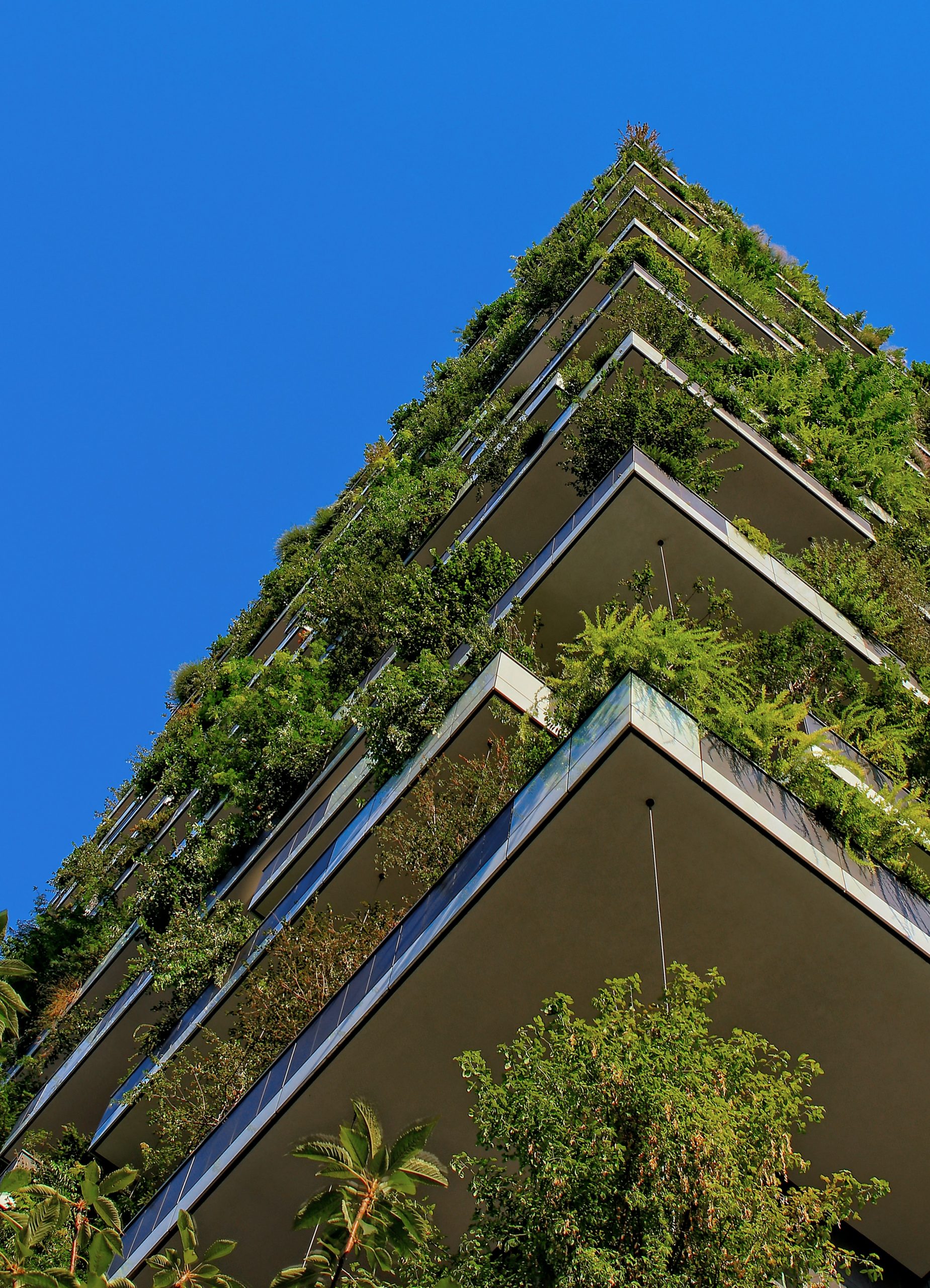 Sustainable smart city green building architecture