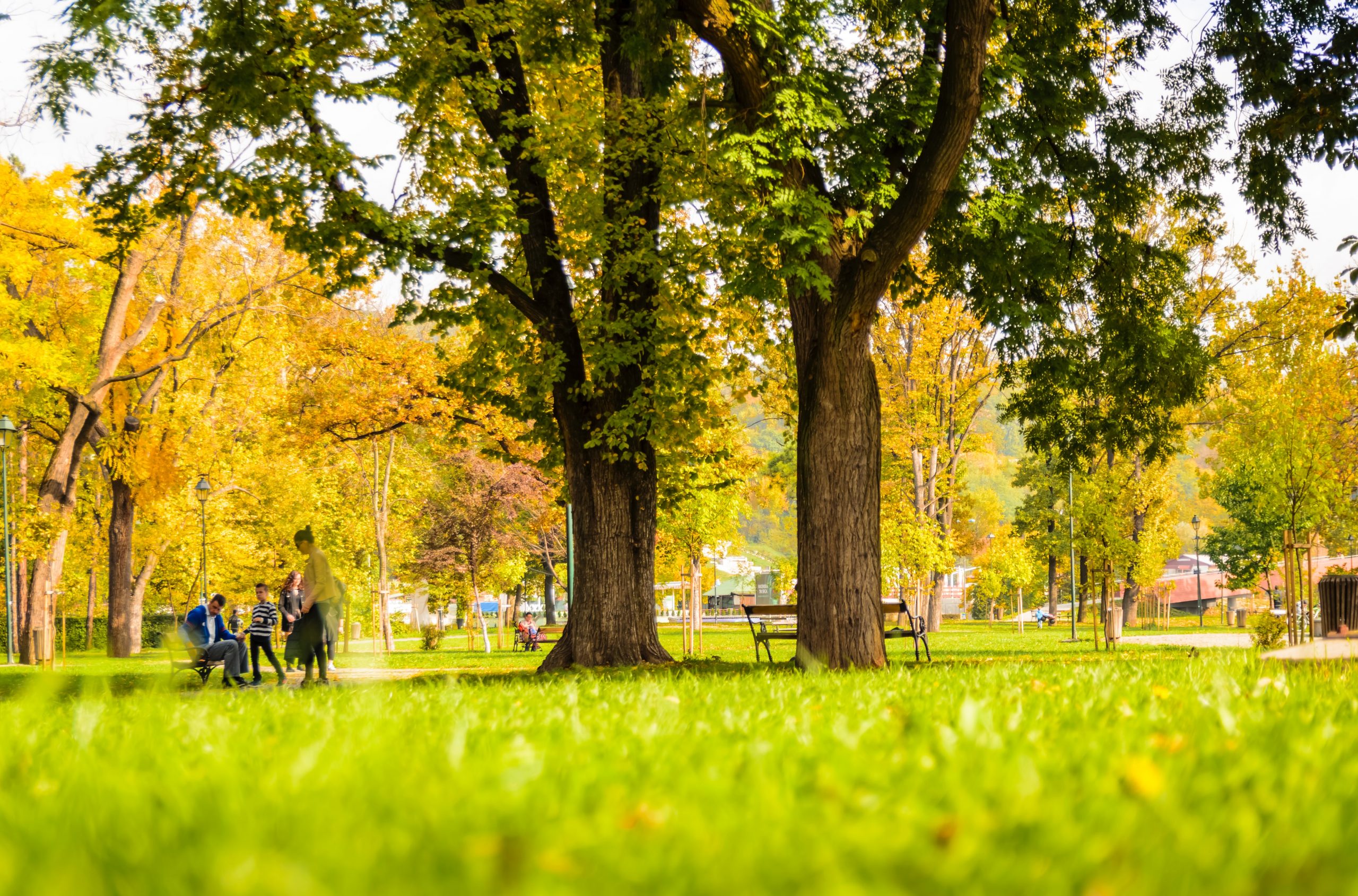 Urban safety green space smart cities