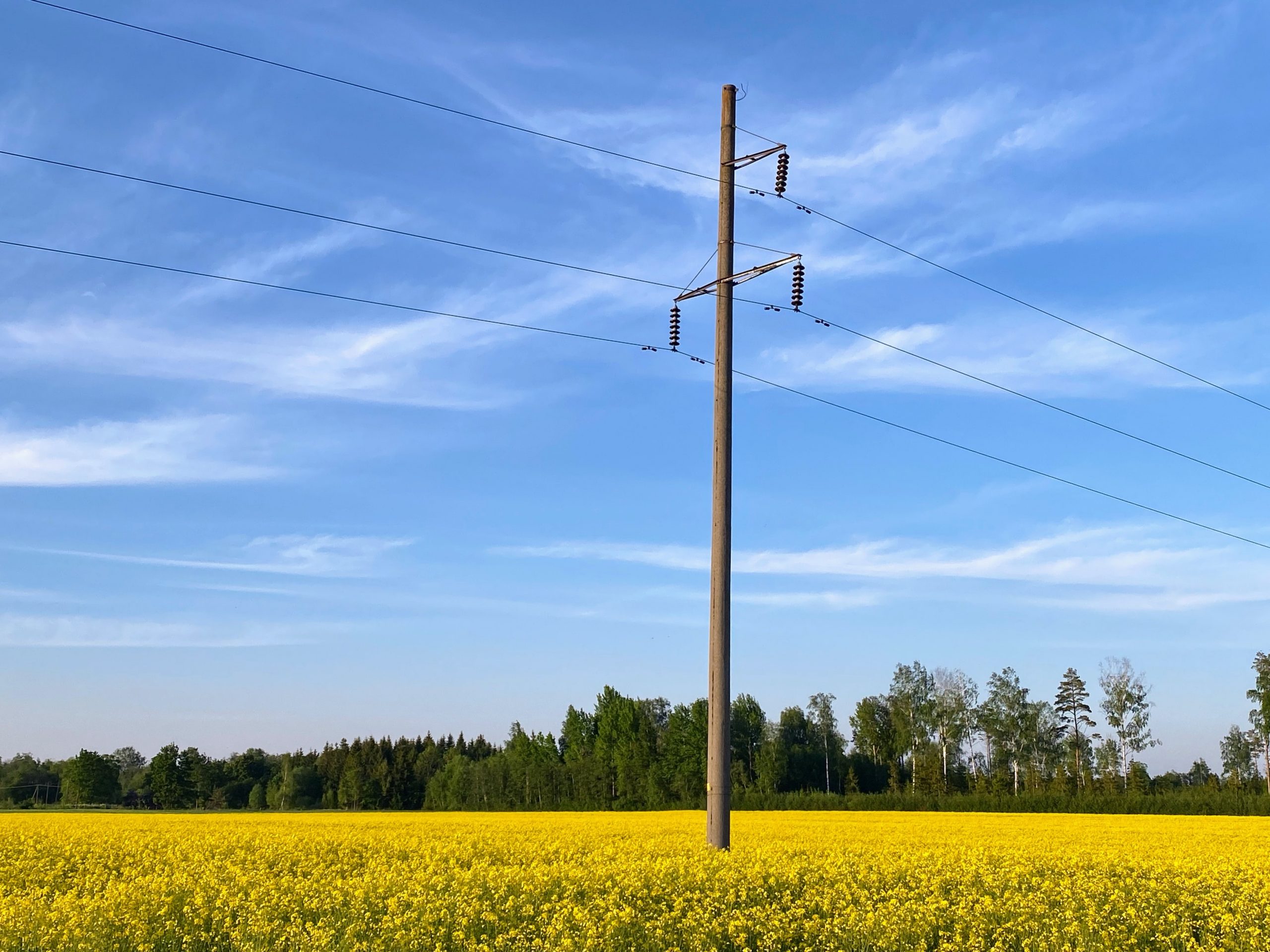 utilities power line yellow field blue sky
