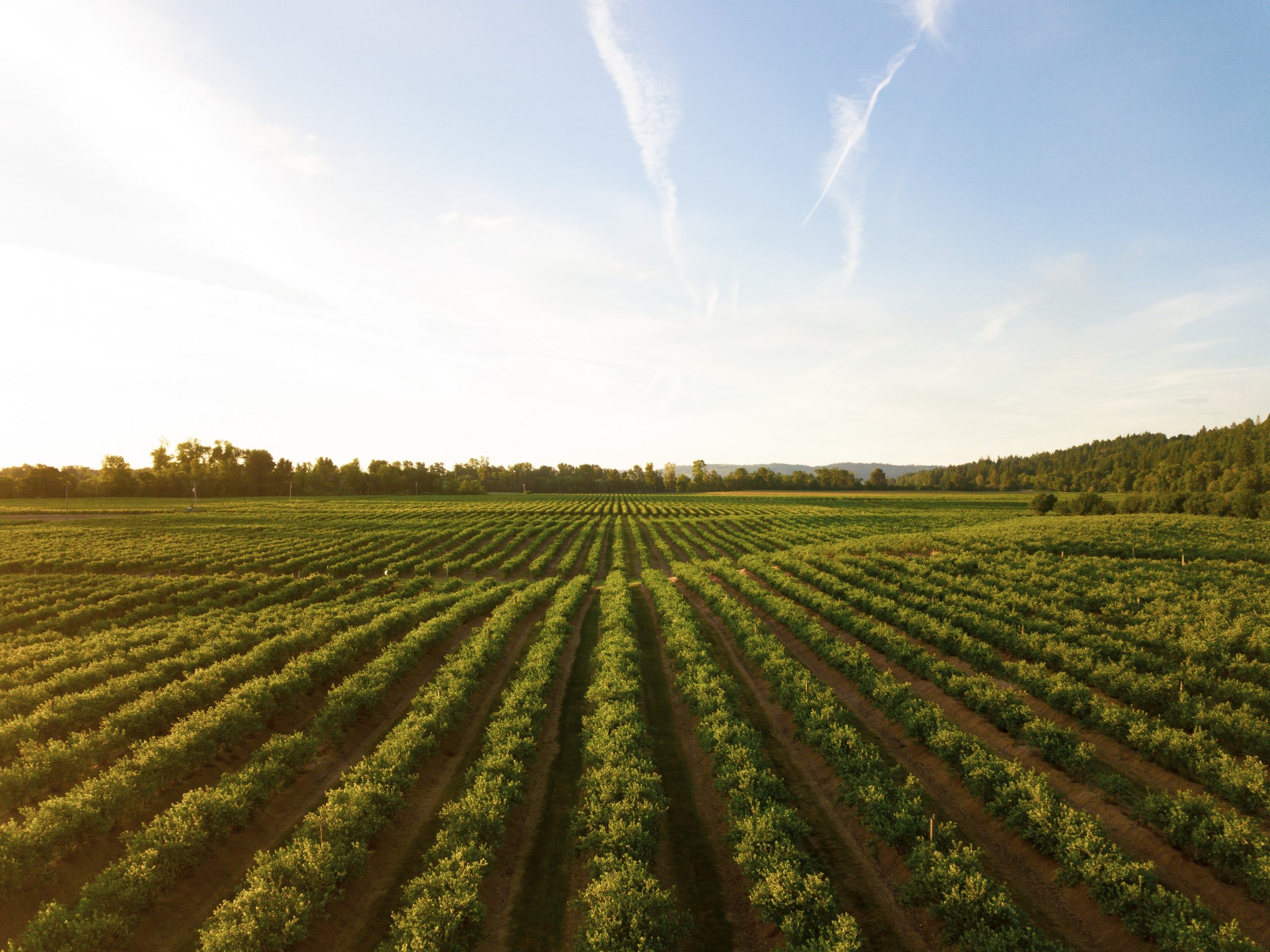 Agriculture business apps
