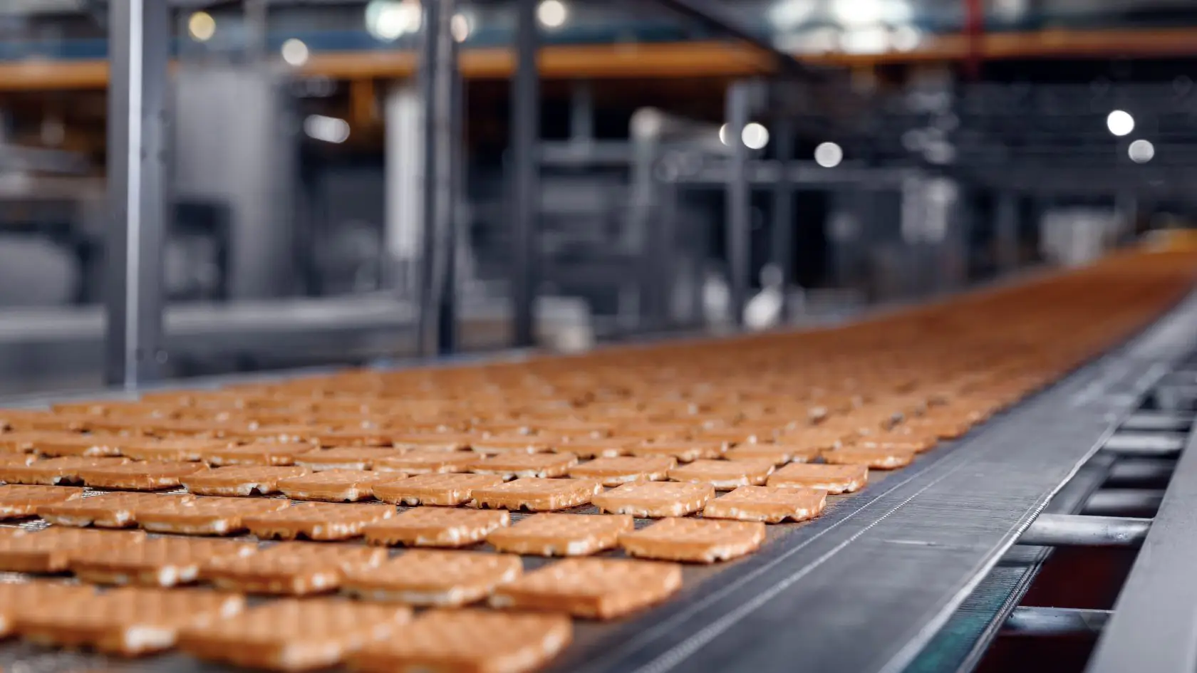 Automated food production line inside a modern manufacturing facility