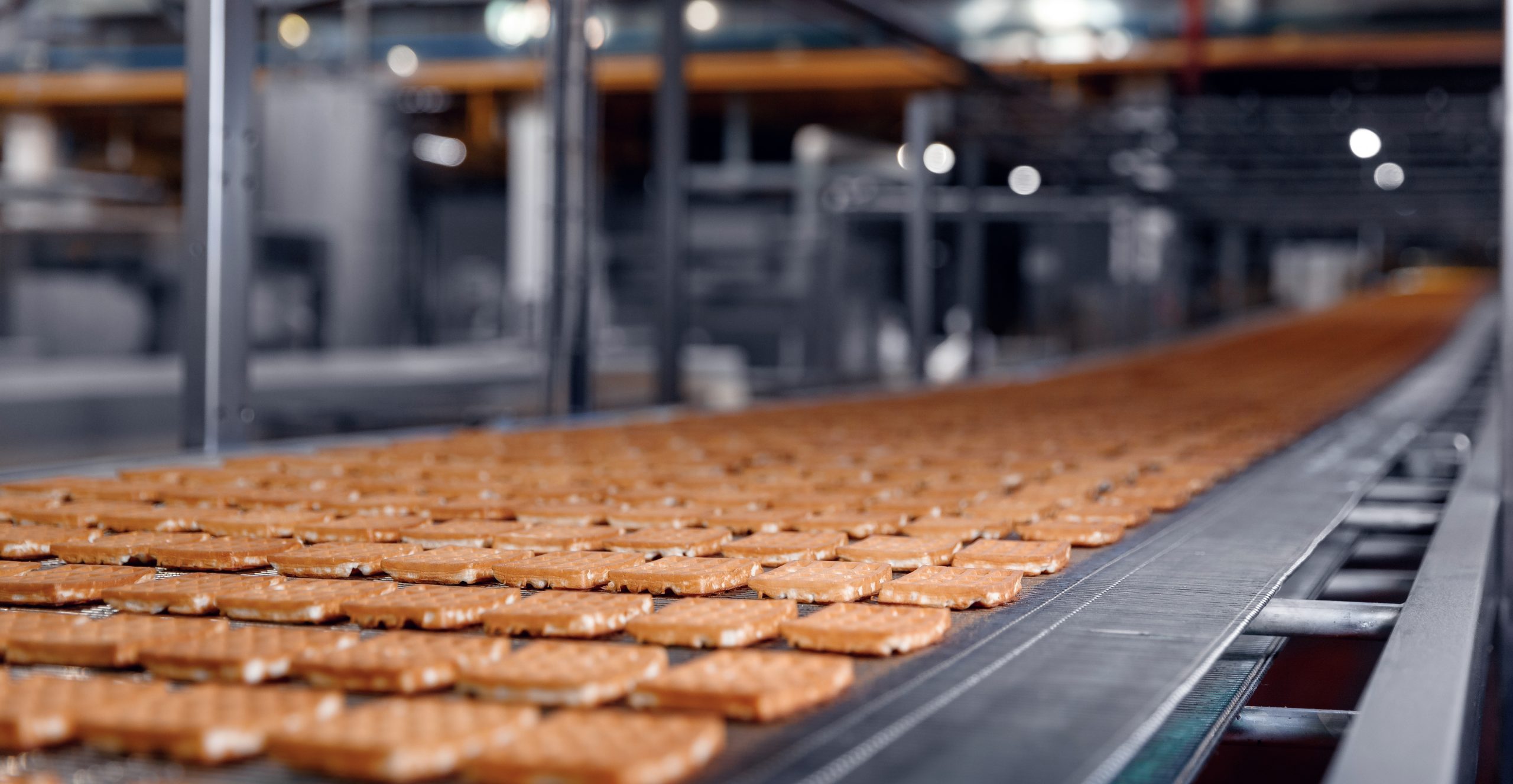 Automated food production line inside a modern manufacturing facility